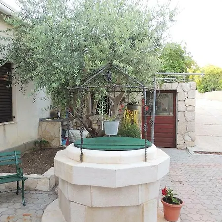 Jelena פג